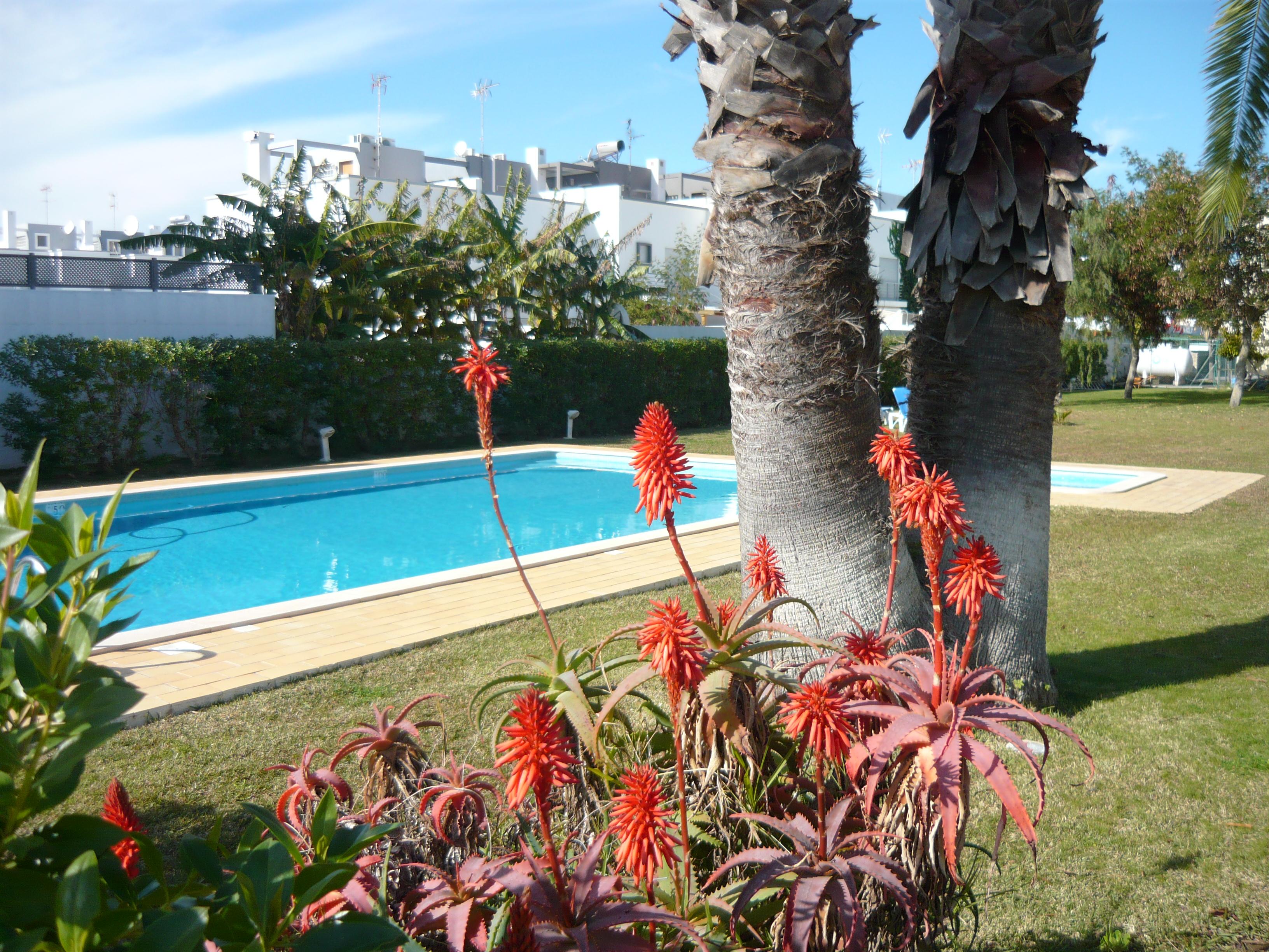 Praia Da Lota Resort - Beachfront Hotel Manta Rota Eksteriør bilde